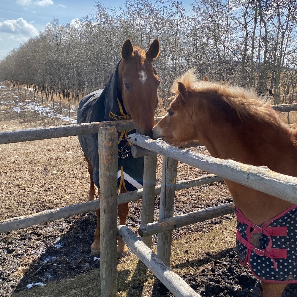 Meet your Posher, Catherine